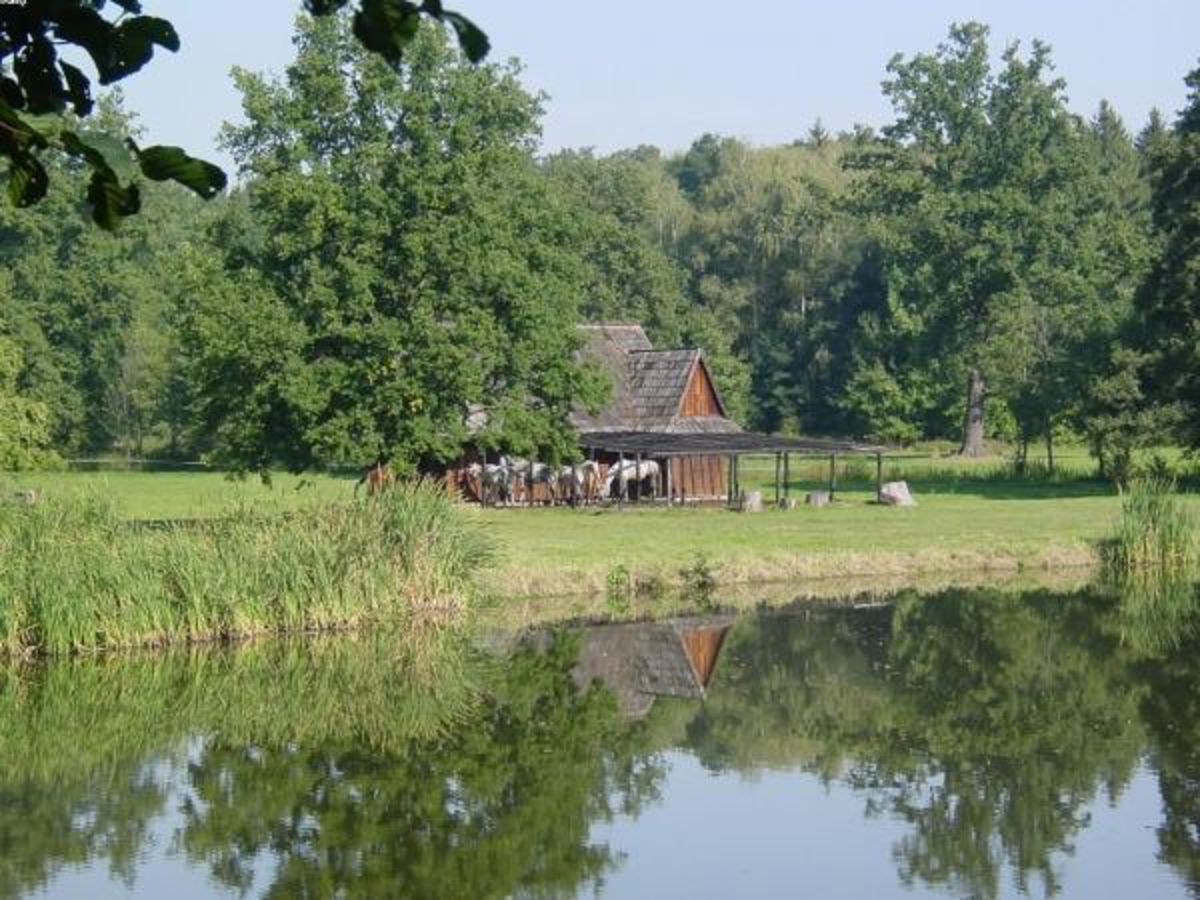 hotel na wesele, Goszowice